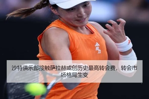 沙特俱乐部接触萨拉赫或创历史最高转会费，转会市场格局生变（LOLESPORTS）